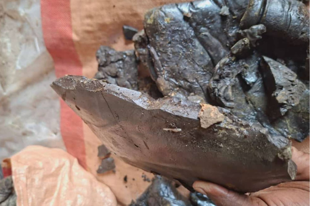 gallery home image 2